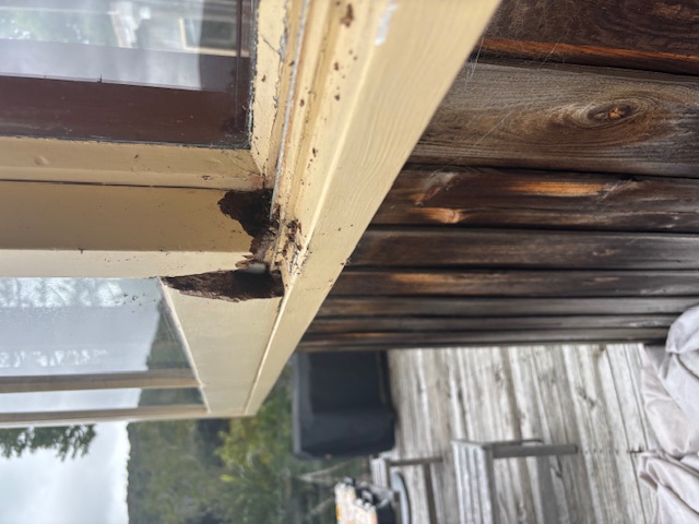 More Recent Work image1 (8)